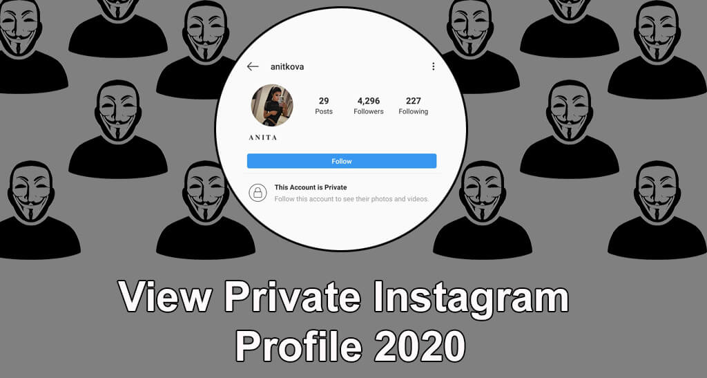 How to View a Private Instagram Profile?